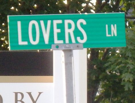 Lovers Lane Lovers Lane Sign, Diy Posters, Lovers Lane, Centennial Park, Hodge Podge, Room Stuff, Street Sign, Street Names, Street Signs