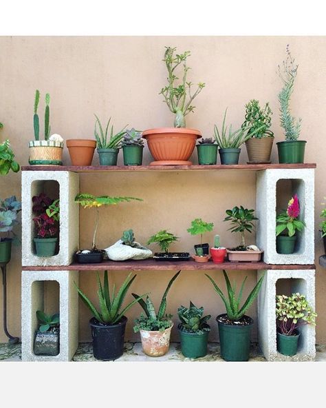 DIY plant stand is the best way to display greeneries in your home. You can put them inside or outside your house. Click to read more about DIY plant stand! Plants Shelf, Cinder Block Garden, Outdoor Living Diy, Window Garden, Outside Plants, Herbs Garden, Indoor Herb, Potting Table, Garden Shelves