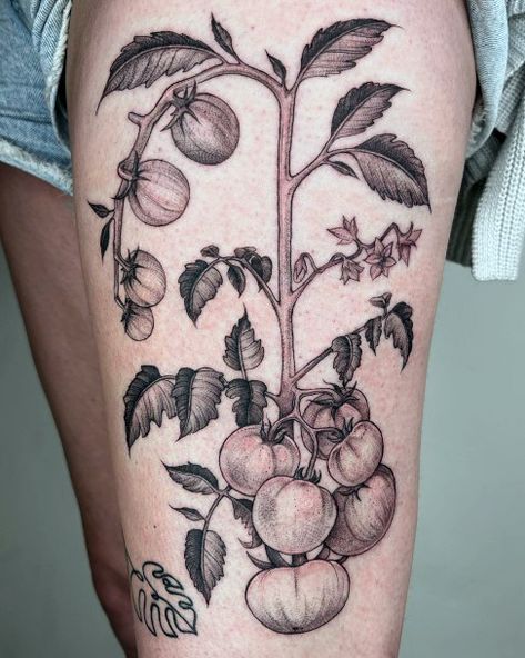 Cherry Tomato Tattoo, Tomato Vine Tattoo, Tomato Plant Tattoo, Missy Tattoo, Tomato Tattoo, Plant Tattoo Ideas, Vegetable Tattoo, Plant Tattoos, Flash Ideas