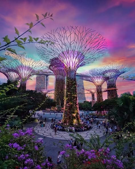 Read our round-up of some of the most Instagrammable locations around Singapore. Gardens By The Bay, Singapore, Trees, Instagram