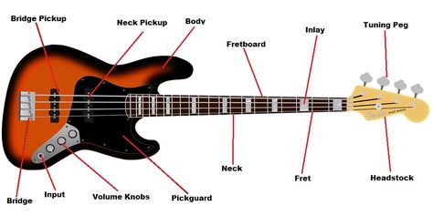 Bass Guitar Parts Diagram Guitar Tech, Fender Jazz Bass, Playing The Guitar, E Major, Learn To Play Guitar, Play Guitar, Guitar Parts, Guitar Strings, Guitar Body