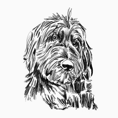 #bernedoodle #goldendoodle #dog #pets #petportrait #digitalart #artwork #drawing #pencil #sketch #theotherjade Labradoodle Line Drawing, Black And White Labradoodle, Aussiedoodle Drawing, Bernedoodle Drawing, Goldendoodle Sketch, Goldendoodle Drawing, Labradoodle Drawing, Pug Drawing, White Labradoodle