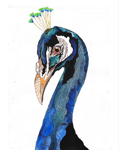 Birds Head Drawing, Peacock Head Drawing, Fictional Drawing, Bird Head Drawing, Peacock Drawings, Peacock Feather Drawing, Peacock Sketch, Driftwood Painting, Peacock Head