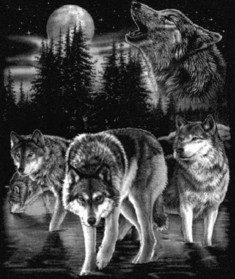 Minha tatoo da perna Wolf Pack Tattoo, Wolf Sleeve, Wolf Tattoos Men, Mystical Wolf, Wolf Tattoo Sleeve, Wolf Images, Wolf Artwork, Fantasy Wolf, Wolf Photos