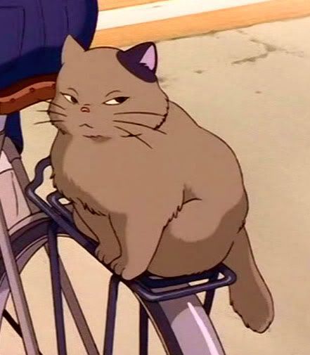 102 best images about whisper of the heart on Pinterest | Heart ... Mischievous Cat, Whisper Of The Heart, The Cat Returns, Studio Ghibli Movies, Studio Ghibli Art, Ghibli Movies, Ghibli Art, Anime Animals, Anime Cat