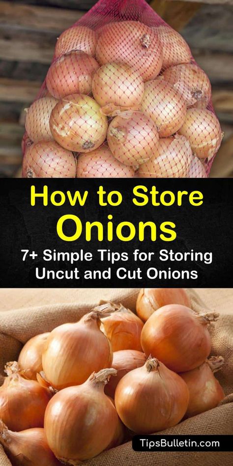 Storing Onions And Potatoes, Store Onions, Storing Onions, Onion Storage, Cellar Ideas, How To Store Potatoes, Storing Vegetables, Canned Food Storage, Canning Food Preservation