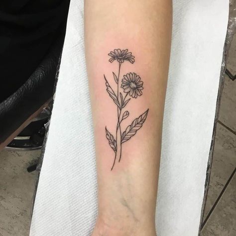 Astra Flower Tattoo, Aster Flower Tattoo Black And White, Carnation And Aster Flower Tattoo, Aster Flower Tattoo Color, Simple Aster Flower Tattoo, Aster Tattoo Design, Aster Tattoo September, Amy Tattoo, Aster Flower Tattoo