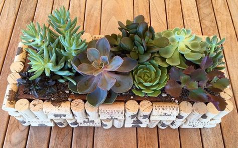 Wine Cork Planter, Cork Planters, Wine Cork Diy Crafts, Wine Cork Projects, Cork Crafts Diy, Wine Cork Diy, Cork Projects, Cork Diy, Cork Art