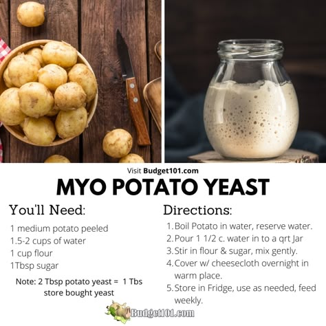 Yeast Bread Starter, Potato Yeast Rolls, Potato Yeast, Meal Ready To Eat, Yeast Starter, Dough Starter, How To Make Potatoes, Bread Starter, Yeast Rolls