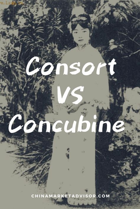 Consort VS Concubine Chinese Concubine, Chinese Art Traditional, Chinese Painting Traditional, Asian Things, Traditional Chinese Wedding, China Culture, Chinese Astrology, I Ching, Chinese History