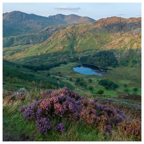 — wanderthewood: The view from Side Pike to Blea... Lake District England, Night Elf, Trevi Fountain, Get Outdoors, Dog Face, Lake District, The View, Mother Earth, Beautiful World