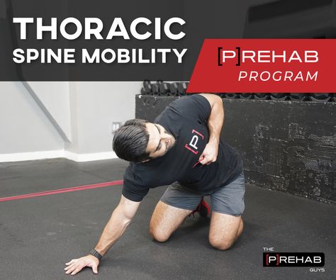 How To Fix Rhomboid Pain – [𝗣]𝗥𝗲𝗵𝗮𝗯 Thoracic Spine Mobility, Chest Tightness, Spine Mobility, Myofascial Pain Syndrome, Neck And Shoulder Exercises, Upper Back Exercises, Referred Pain, Stability Exercises, Running Program