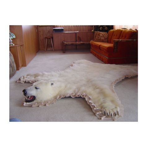 Polar Bear Rug, Bear Rugs, Bear Skin Rug, Brown Interiors, Animal Skin Rug, Skin Rugs, Bear Rug, Bedroom Closet, Brown Interior