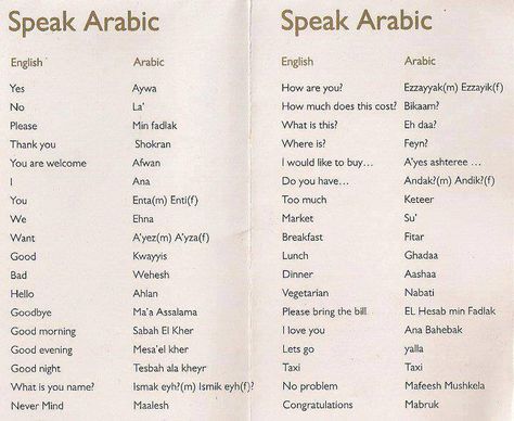 egyptian arabic basics Arab Language, Egyptian Arabic, Spoken Arabic, Learn Arabic Online, Arabic Phrases, Learn Another Language, Learn Arabic Alphabet, Arabic Lessons, Learn Arabic Language