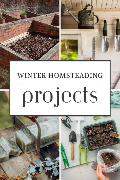 cold frames, cold-tolerant crops, creative projects, firewood harvesting, garden layout planning, gardening season, homemade candles, homemade soaps, homesteading knowledge, homesteading skills, indoor hydroponics, indoor seed starting, off-season productivity, seasonal preparation, Self Sufficiency, Sustainable Farming, Tool maintenance, tool repair, Winter Activities, winter homesteading projects The Seasonal Homestead, Self Sufficient Skills, Winter Homestead Projects, Winter Homestead Aesthetic, Home Steading Aesthetic, Indoor Homesteading, Homesteading Uk, Home Steading Ideas, Vegan Homesteading