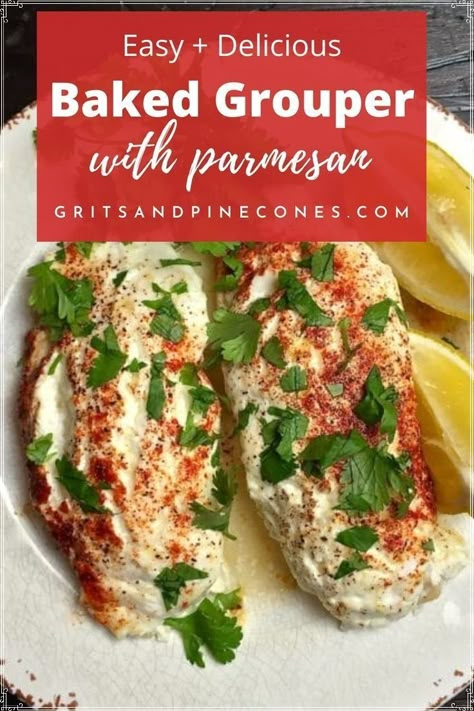 You won't believe how easy these oven-baked parmesan grouper fillets are to make. And, because of its mild flavor, baked grouper is a great fish recipe for kids! It's easy to prepare, it's a healthy alternative to meat, and it's relatively low in calories. It's easy and delicious - a win- win dinner! Grouper Fish Recipes, Baked Grouper, Easy Fish Dinner, Grouper Recipes, Grouper Fillet, Easy Fish Dinners, Grouper Fish, Baked Fish Fillet, Fish Recipes Baked