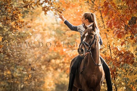 Fall Equestrian Photoshoot, Autumn Horse Photography, Horse Fall Photoshoot, Fall Horse Photography, Autumn Horse, Equestrian Photoshoot, Horse Photoshoot Ideas, Equine Photography Poses, Horse Senior Pictures