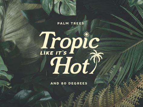 Tropic Like It's Hot by Shane Harris on Dribbble Palm Tree Illustration, Hot Quote, Illustration Beach, Find Logo, Hotel Branding, Beach House Interior, Custom Cups, Brand Guide, Branding Logo Design