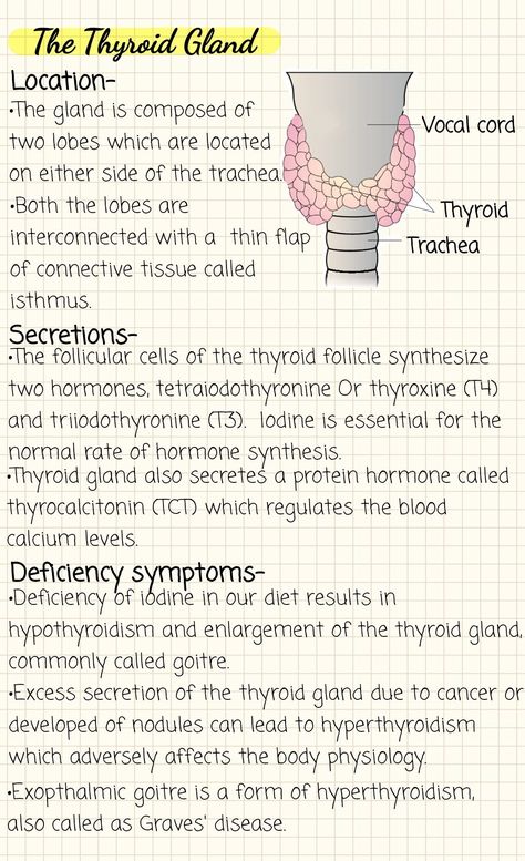 #notes #biology #studymotivation Support And Movement Biology Notes, Bio 30 Notes, Chemical Coordination Notes, Micro Biology Notes, Basic Biology Notes, Homeostasis Biology Notes, Neet Biology Notes, Medicine Notes Study, Genetics Notes Biology