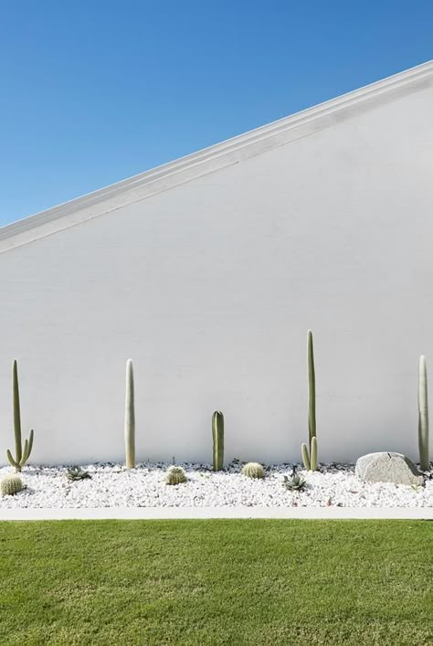 Palm Springs Style Home, Palm Springs Landscaping, Palm Springs Garden, Cactus Garden Landscaping, Tanaman Indoor, Palm Springs Style, Home Decor Aesthetic, Dry Garden, 카페 인테리어 디자인