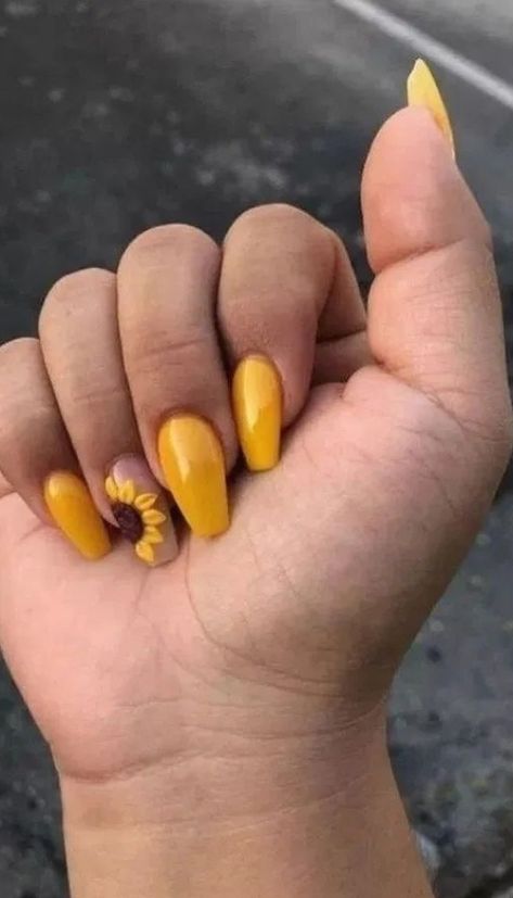 Fun Nail Designs, Spring Nails 2020, Stars Nails, Yellow Nail, Sunflower Nails, November Nails, Fall Nail Art Designs, Nails 2020, Fall Nail Art