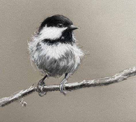 Abstract Charcoal Art, Charcoal Artwork, Ear Tattoo Ideas, Ear Tattoos, Song Birds, Boho Art Drawings, Bird Sketch, Nature Sketch, Art Charcoal