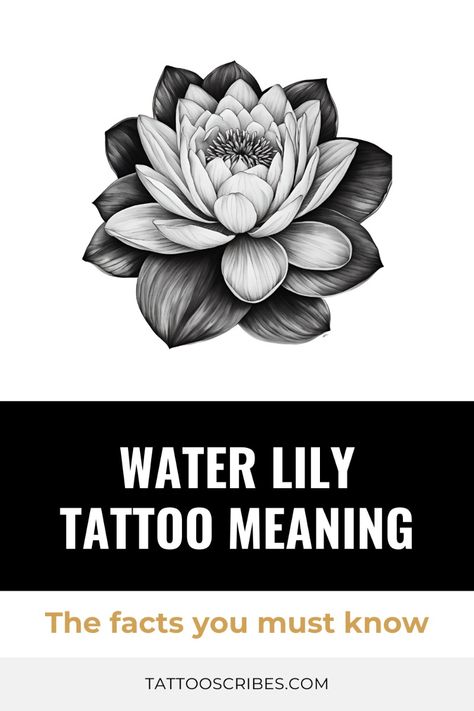 Before you get a water lily tattoo, do you know its meaning? Explore the cultural significance of these flower. Click for all the tattoo inspiration you need! Water Lily Tattoo Cover Up, Water Hyacinth Tattoo, Water Lily Flower Tattoo Designs, Water Lily Tattoo Meaning, Water Lily And Lily Of The Valley Tattoo, White Water Lily Tattoo, Water Lily Hand Tattoo, Waterlilly Tattoo Arm, Waterlily Tattoos For Women