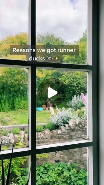 Duck on Instagram: "😙Some info about our runner ducks 🦆 obviously do your research before getting any pets. This is why we got them ❤️💜

📷 Source: TikTok @ monalogue

( Dm for credit or removal / All rights® are reserved & belong to their respective owners )

🔸🔸

🔰 🎯 Share with a friend​​​​​​​​
💾 Save​​​​​​​​
👍Like

🔔 Turn Post Notification On
*
Check our page for more cool photos 💯

👉 You can order it on the link my home page❤️❤️❤️

Thank you so much 💞

👩‍🏭
👩‍🏭
#duckmemes #ducklings #duckblind #duckscarvestoletgo #duckhuntingseason #ducklover #ducksunlimited #duckvietnammurah #ducklife #ducksofinstagram #duckseason #ducklingsofinstagram #ducklove #duckhunting #duckeggs #duckphotography #duckfamilyq" Duck Memes, Duck Photography, Duck Blind, Runner Ducks, Eden Garden, Duck Season, Decor Color Palette, Summer Front Porches, Duck Eggs