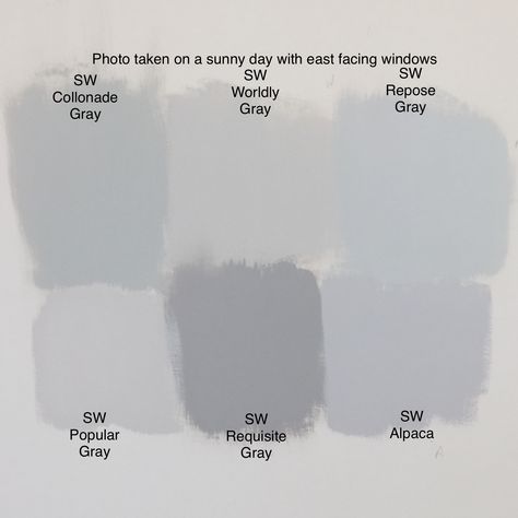 Comparison of Sherman Williams paint colors: Colonnade Gray, Worldly Gray, Repose Gray, Popular Gray, Requisite Gray, and Alpaca Sherman Williams Repose Grey, Requisite Gray, Colonnade Gray, Light Gray Walls, Sherman Williams Paint, Sherman Williams, Worldly Gray, Interior Paint Colors Schemes, Repose Gray