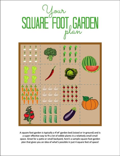 Square Foot Garden Plan Square Ft Gardening Layout, Raised Garden Bed Template, 4x6 Garden Layout, Square Foot Gardening Spacing, Square Foot Gardening Layout Raised Beds Companion Planting, 4x8 Vegetable Garden Layout, 8x8 Garden Layout, 3x6 Raised Garden Bed Layout, Square Foot Gardening Layout 4x8