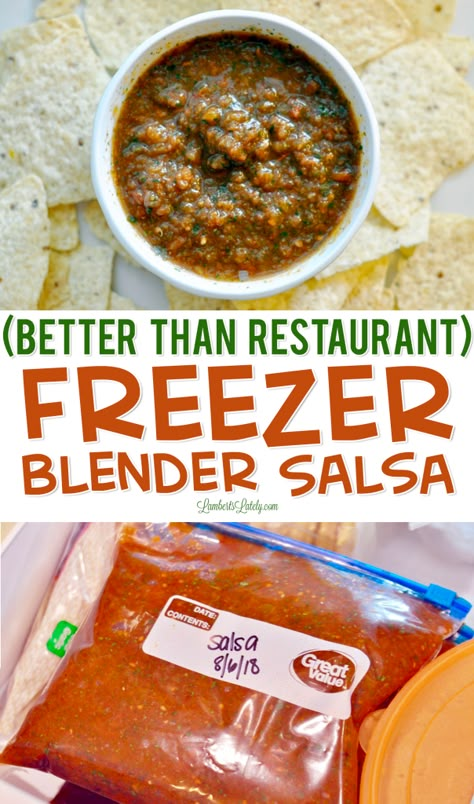 Freezer Salsa Recipe, Freezer Salsa, Blender Salsa, Fresh Salsa Recipe, Easy Salsa Recipe, Fresh Tomato Recipes, Fresh Salsa, Homemade Salsa, Blender Recipes