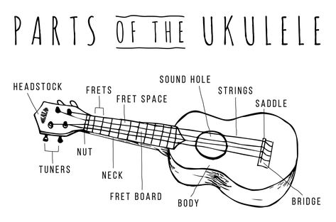 Ukulele Tuning, Kala Ukulele, Learn Violin, Violin Lessons, Playbased Learning, Music Ed, Ukulele Songs, Ukulele Chords, Play Guitar