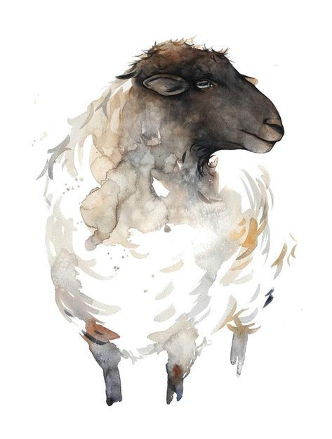 Sheep Paintings Easy, Pictures Of Sheep, Equine Art Paintings, Watercolor Sheep, Farm Watercolor, Sheep Drawing, Sheep Paintings, Watercolor Paintings Of Animals, Animal Illustration Art