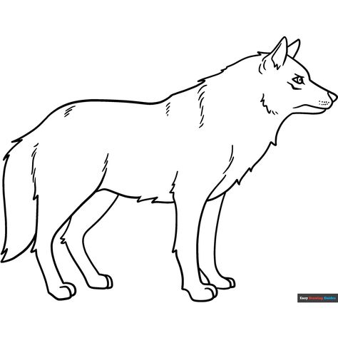 Free Wolf Coloring Page for Kids Wolf Drawing Easy, Easy Drawing Guides, Cartoon Wolf, Wolf Colors, Free Printable Coloring Sheets, Drawing Guides, Wolf Drawing, Kids Print, Wolf Pictures