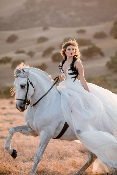 Woman Riding Horse, Horse Photography Poses, Equestrian Wedding, Equine Portraits, Horse Dress, Fantasy Horses, Princess Photo, Equine Photographer, Fairytale Photography