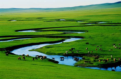 Beautiful grassland in Xilin gol, Inner Mongolia. Painting Competition, Asian Countries, Inner Mongolia, Lake Landscape, Landscape Drawings, Central Asia, Nature Images, Mongolia, Wonderful Places