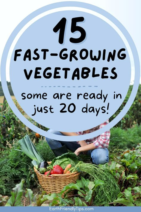 Picture of woman in garden crouching in front of basket full of fresh vegetables with text overlay 15 Fast-Growing Vegetables Some Are Ready in Just 20 Days! Fast Growing Vegetables, Growing Vegetables In Pots, Natural Gardening, Outdoor Design Ideas, Garden Remedies, Gardening Zones, Growing Gardens, Gardening Projects, Backyard Vegetable Gardens