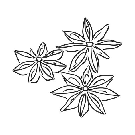 Indian Illustration, Mehndi Designs Bridal Hands, Star Tattoo Designs, Indian Star, Vector Line, Flower Sketches, Bullet Journal Lettering Ideas, Star Anise, Star Tattoos