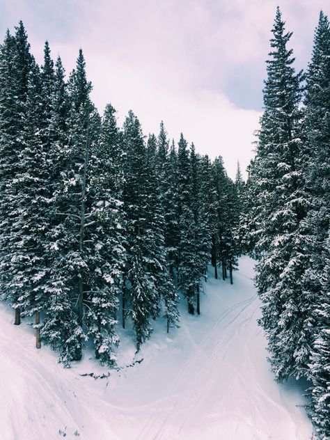 Honeymoon Goals, Copper Mountain Colorado, Flowers Mountain, Colorado Scenery, Mountain Winter, Explore Colorado, Colorado Photography, Copper Mountain, Winter Road