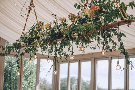 Foliage Lighting, Hanging Ladder From Ceiling, Hanging Foliage, Bride And Groom Images, Hanging Flower Arrangements, Ladder Ideas, Hanging Centerpiece, Hanging Ladder, House Renos