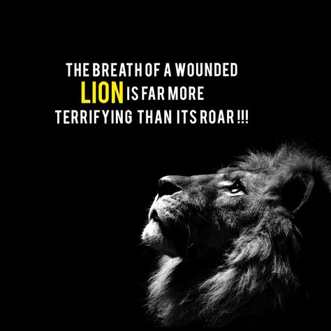 Quote of the day
Love quotes
Life Quotes
Motivational quotes
Picture of the day
Sad quotes
Best quotes Injured Lion Quotes, Wounded Lion Wallpaper, Wounded Lion, Lion Face Drawing, Leo Personality, Billionaire Motivation, Leo Quotes, Black Kings, Lion Quotes