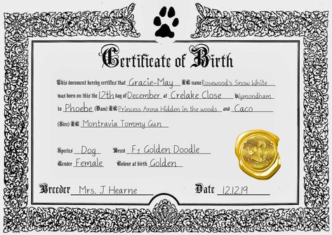 Birth Certificate Design, Puppy Birth Certificate Template, Puppy Birth Certificate, California Birth Certificate, Fake Birth Certificate, Birth Certificate Online, Stuffed Animal Birth Certificate, Certificate Maker, Dog Birth