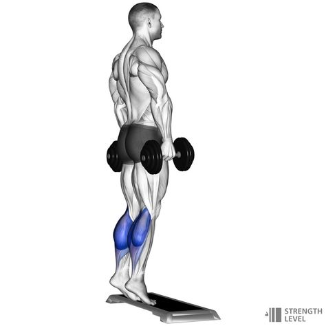 Calf Raises Workout, Standards For Men, Calf Workout, Standing Calf Raise, Andrew Huberman, Workout Wednesday, Calf Exercises, Wednesday Workout, Calf Raises