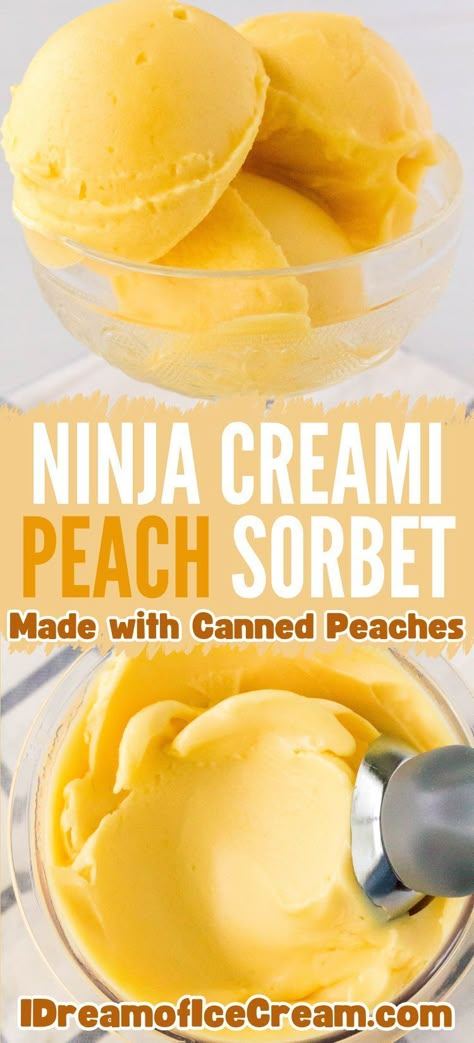 Ninja Creami Coconut Sorbet, Peach Ninja Creami Recipe, Ninja Creami Sorbet Recipes Healthy, Smoothie Ninja Creami, Peach Ninja Creami, Ninja Creami Recipes Sorbet, Sorbet Ninja Creami Recipes, Peach Sherbet Recipe, Ninja Creami Sorbet