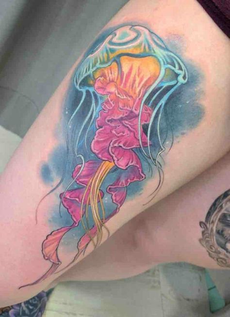 Dream Paintings, Tattoo Colors, Ocean Sleeve, Jellyfish Jewelry, Jellyfish Costume, Jellyfish Illustration, Jellyfish Tank, Jellyfish Photography, Jellyfish Decorations