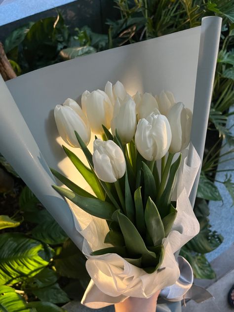 #tulips #whitetulips #flowershop Bouquets Of Flowers Tulips, Tulips Wedding Flowers, White Tulips Bouquet, Pretty Tulips Aesthetic, White Tulips Aesthetic Vintage, Bouquet Of Flowers Aesthetic Tulips, Tulip Flower Pictures, Fav Flower Tulips, White Tulip Bouquet