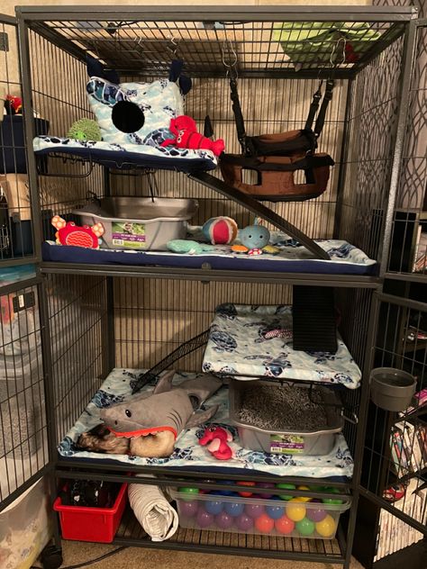 Ocean themed ferret liners, with all of the sea critters to keep them company Ferret Playpen, Ferret Enclosure, Ferret Nation Cage, Critter Nation Cage, Ferret Cage, Pet Ferret, Cute Ferrets, Animal Pen, Dream Room