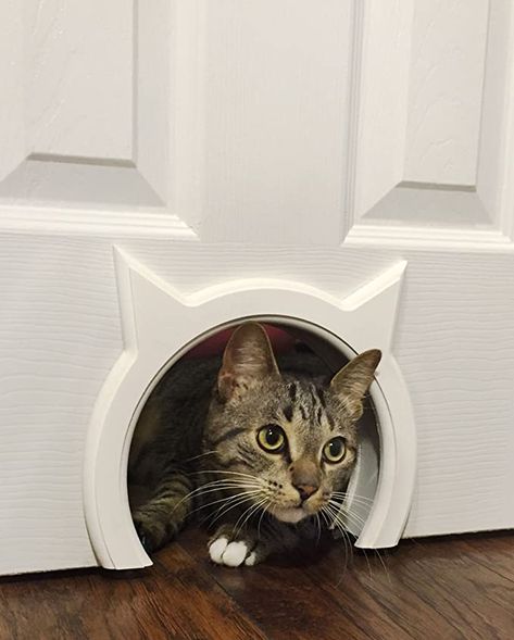 Interior Cat Door, Diy Litter Box, Hidden Litter Boxes, Chat Diy, Kat Diy, Cat Flap, Pet Door, Cat Door, Unique Cats