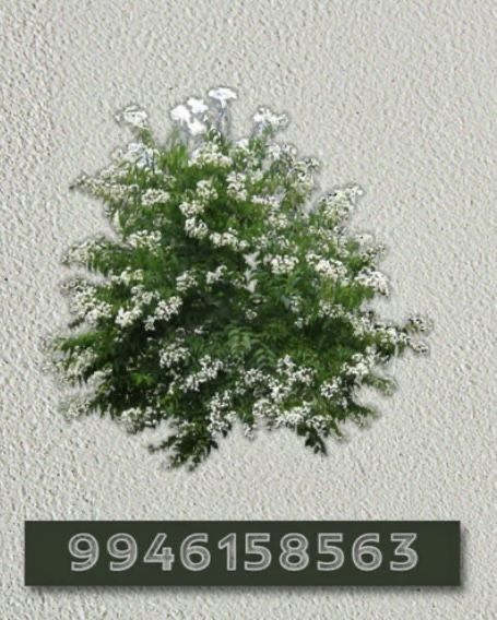 Roblox Bush Decal, Bloxburg Outdoor House Ideas, How To Make A Custom Tree In Bloxburg, Transparent Plants Bloxburg, Tree Codes For Bloxburg, Number Decals For Front Door Bloxburg, Plant Decal Codes For Bloxburg, Bushes Bloxburg Codes, Realistic Flower Decals Bloxburg