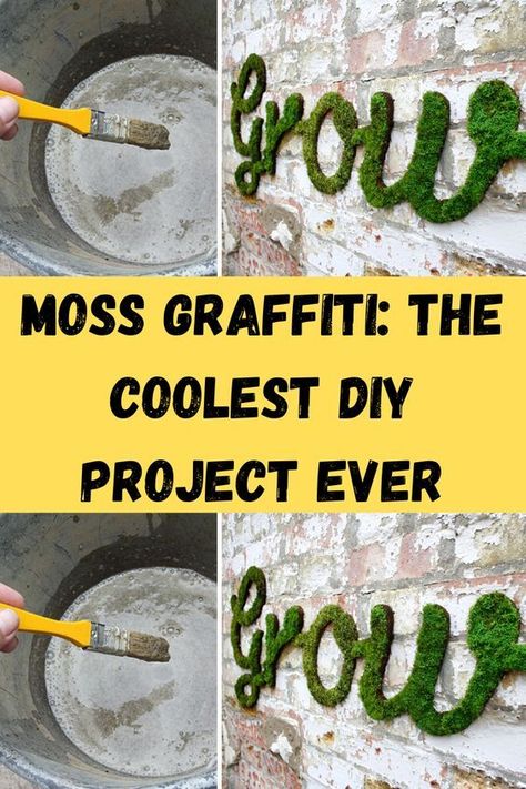 Moss Graffiti, Moss Paint, Growing Moss, Moss Decor, Moss Wall Art, Moss Garden, Moss Art, Bathroom Plants, Indoor Herb Garden